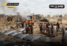 நைஜீரியாவில் விமானப்படை தவறுதலாக நடத்திய தாக்குதலில் 100க்கு மேற்பட்டோர் பலி